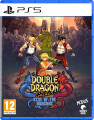 Double Dragon Gaiden Rise Of The Dragons - 
