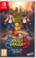 Double Dragon Gaiden Rise Of The Dragons