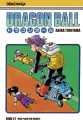Dragon Ball Bind 21