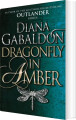 Dragonfly In Amber