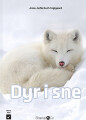 Dyr I Sne