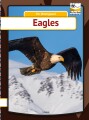 Eagles - 