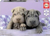 Educa - Puppies Puzzle - 100 Brikker - Hundehvalpe Puslespil