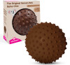 Edushape - Sansebold - 18 Cm - Brun - Uden Luft