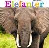 Elefanter