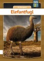 Elefantfugl