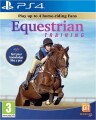 Equestrian Training - 
