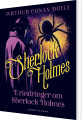 Erindringer Om Sherlock Holmes - Bind 4