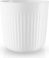 Eva Trio Legio Nova Kop - 25 Cl