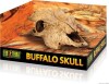 Exoterra - Cave Buffalo Skull - Skjul Til Krybdyr Og Padder