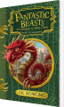 Fantastic Beasts And Where To Find Them Hogwarts Library Book