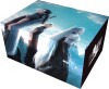 Final Fantasy Tcg Anniversary Collection 2024