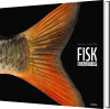 Fisk - Scaled-Up - 