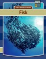Fisk - 