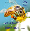 Fra Æg Og Larve Til Honningbi - 