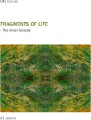 Fragments Of Life - 