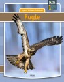 Fugle - 