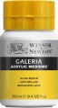 Winsor Newton - Gloss Medium 250 Ml
