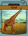Giraf - 