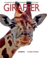 Giraffer - 