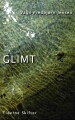 glimt - bog