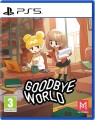 Goodbye World - 