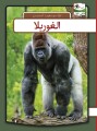 Gorilla - Arabisk - 