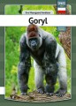 Gorilla - Polsk