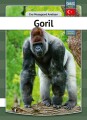 Gorilla - Tyrkisk