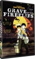 Grave Of The Fireflies - 