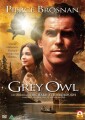 Grey Owl - 