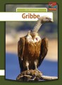 Gribbe - 