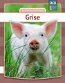 Grise - 
