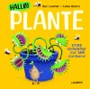 Halløj Plante