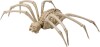 Halloween Skelet Edderkop