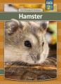 Hamster - 