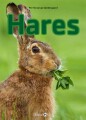 Hares