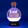 Harry Potter Potion Lamp