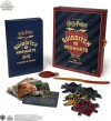 Harry Potter Quidditch At Hogwarts The Player S Kit