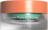 Haruharu Wonder - Centella Phyto 5 Peptide Concentrate Cream - 30 Ml