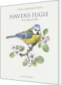 Havens Fugle - 