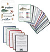 Havets Dyr - Kortspil - Hver Pakke Indeholder 6 Ens - 