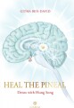 Heal The Pineal - 