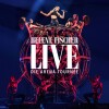 Helene Fischer - Live - Die Arena-Tournee - 