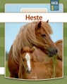 Heste - 