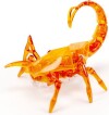 Hexbug - Skorpion Legetøj - Assorteret