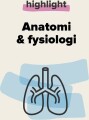 Highlight - Anatomi Fysiologi