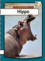 Hippo - My First Book - 