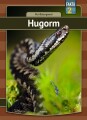 Hugorm - 