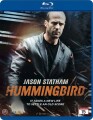 Hummingbird - 